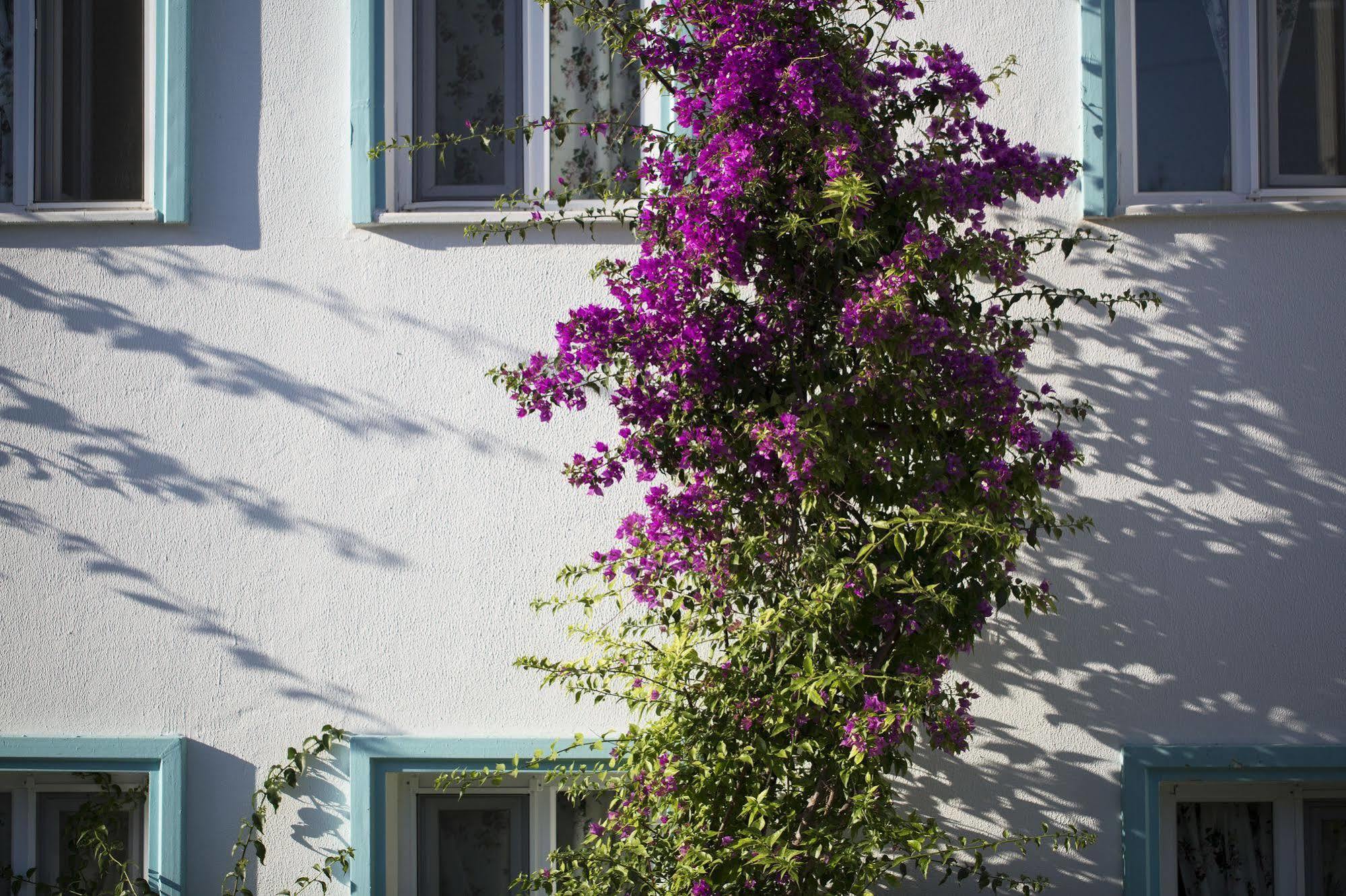 Istanbul Hotel Bodrum 투르크부쿠 외부 사진